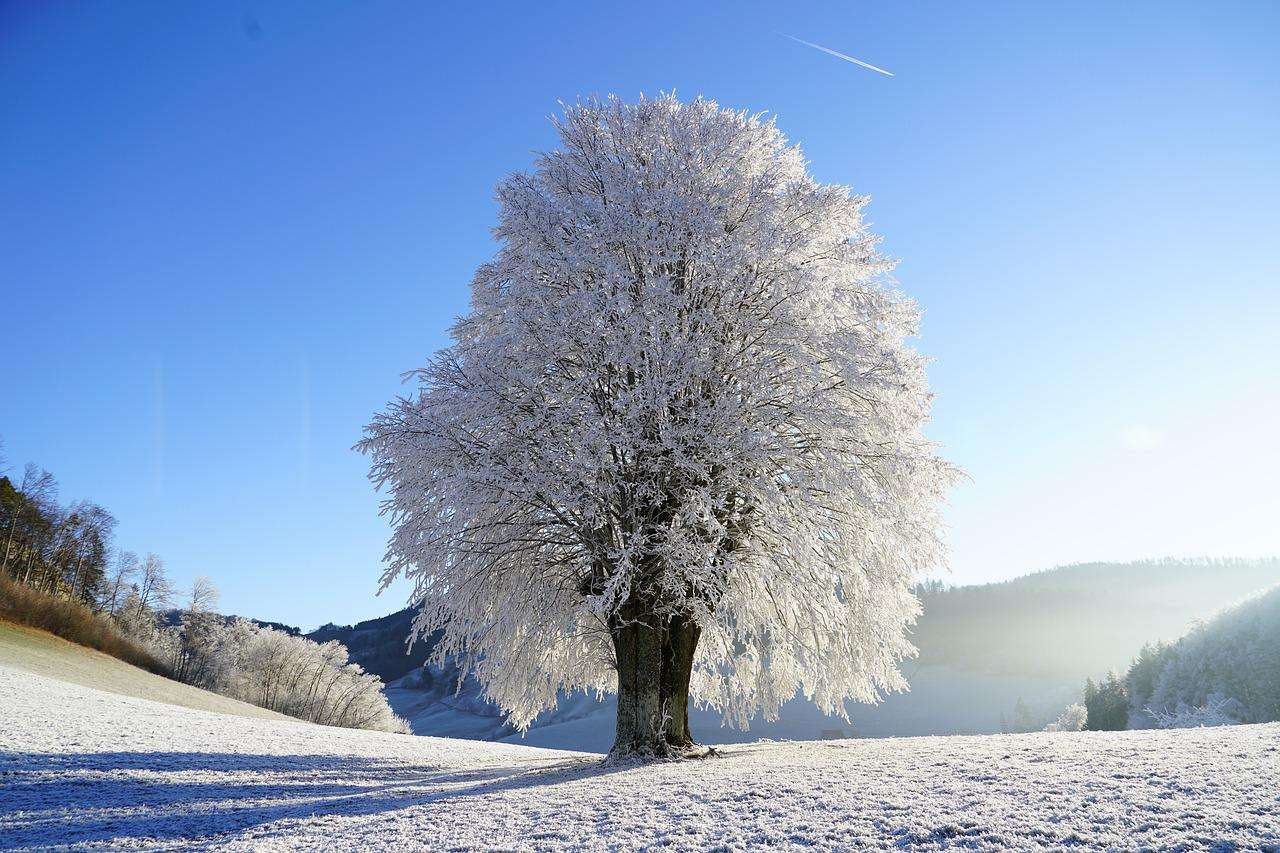 Dojrzały zimowy krajobraz puzzle online