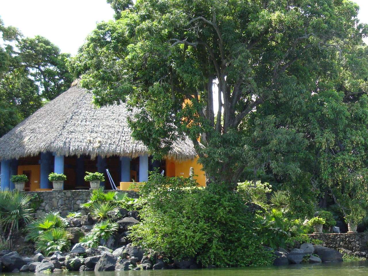 dom w tropikach puzzle online