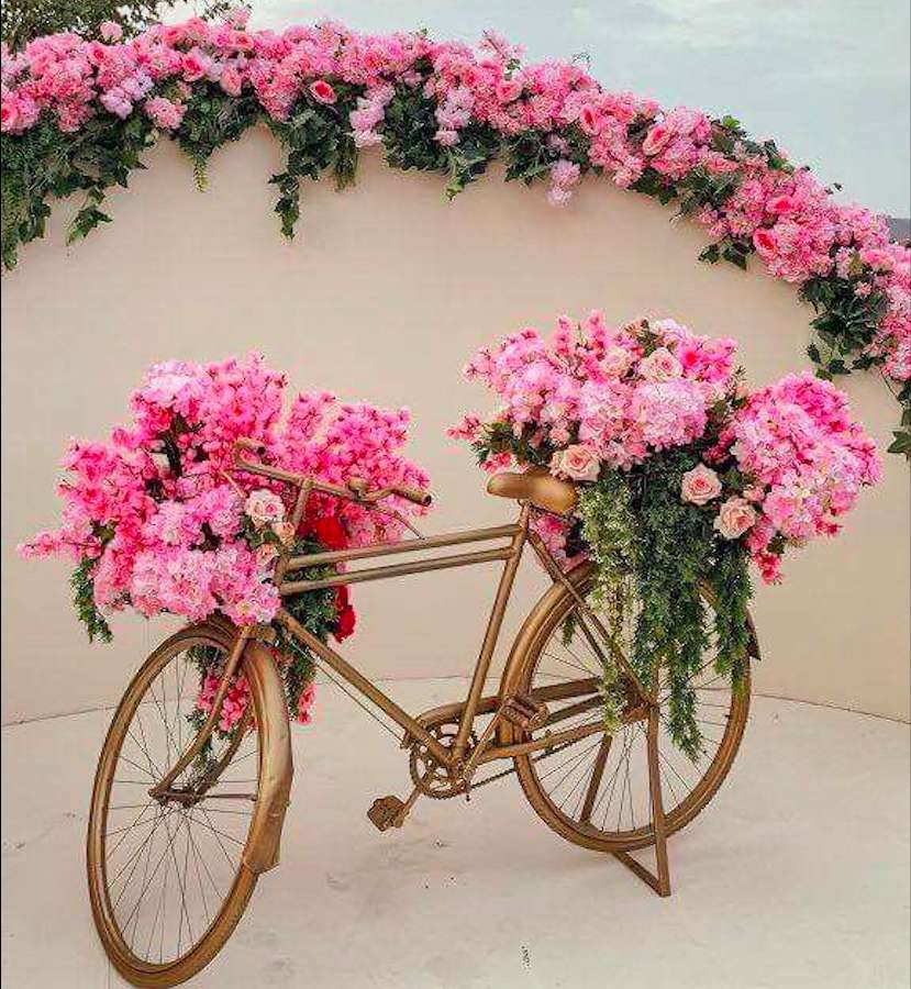 Piękna różowa rowerowa ścieżka różana puzzle online