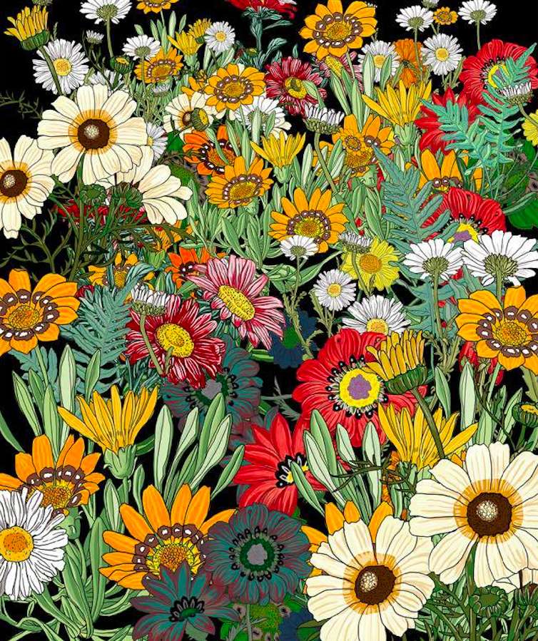 Mnóstwo pięknych polnych kwiatów lata puzzle online