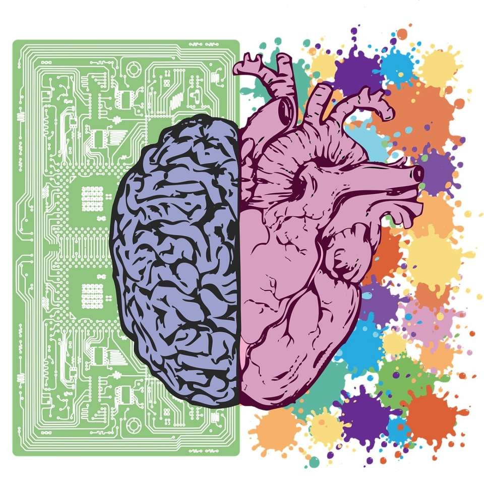 serce mózg puzzle online