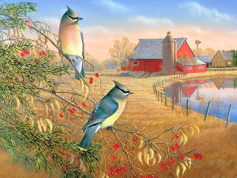Jemiołuszki cedrowe-piękne ptaki puzzle online