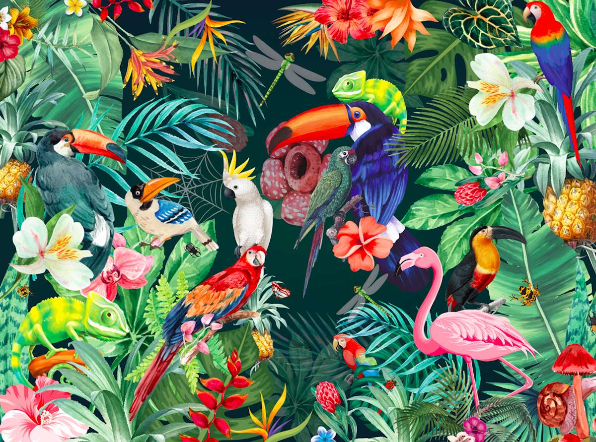 Piękne kolorowe ptaki tropikalne puzzle online