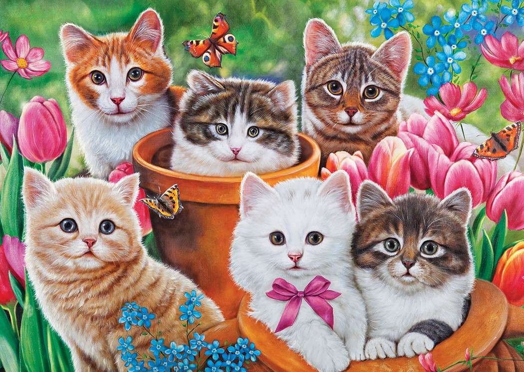 Piękne kotki puzzle online