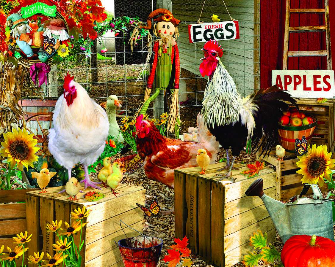 Kury, koguty, kurczaki na farmie puzzle online