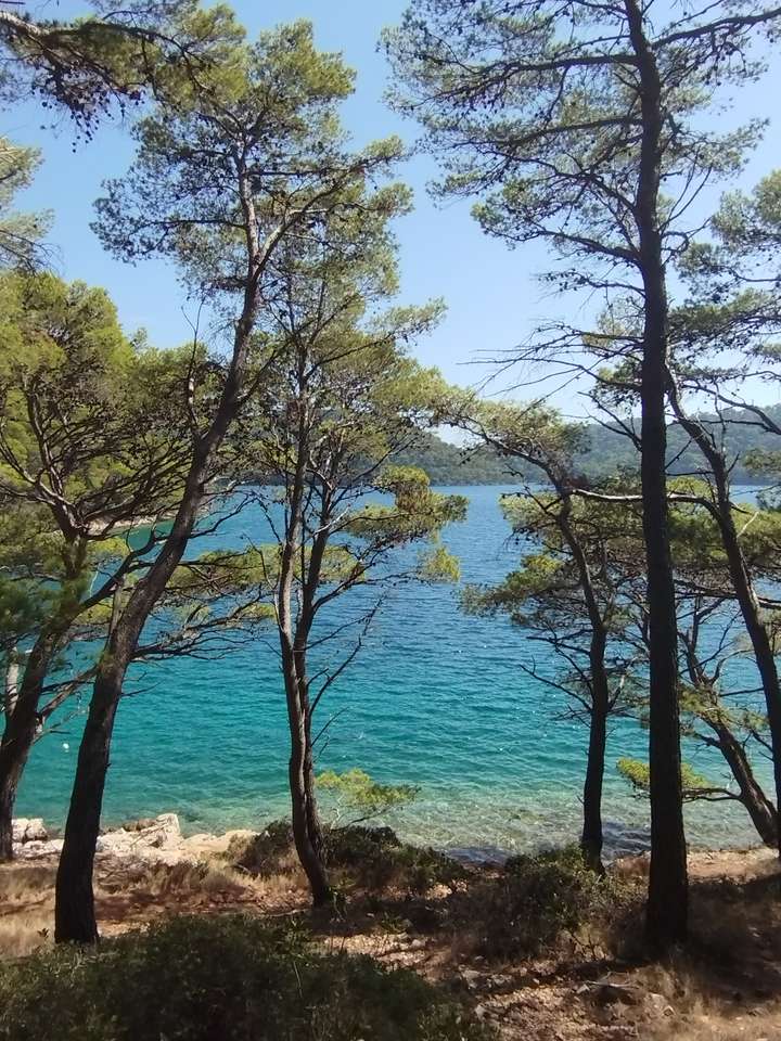 Jezioro w Mijiet, Chorwacja puzzle online