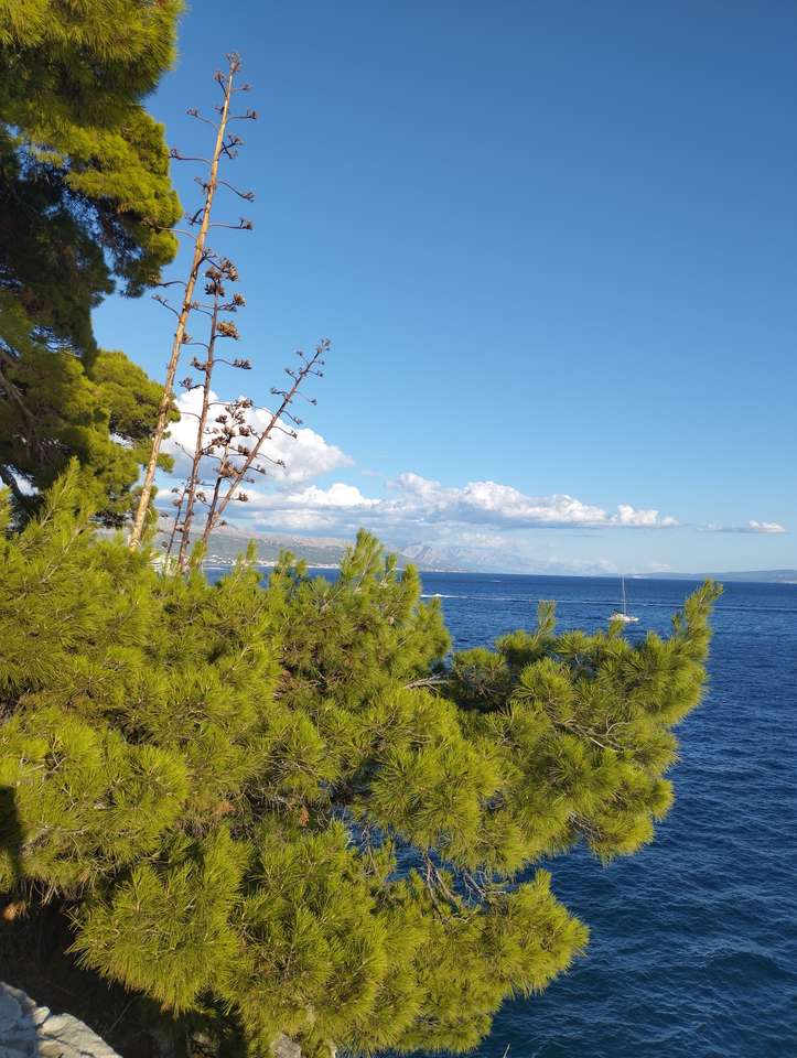 Morze, Split, Chorwacja puzzle online
