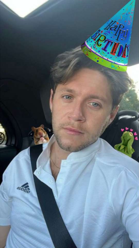HBD NIALL HORAN puzzle online