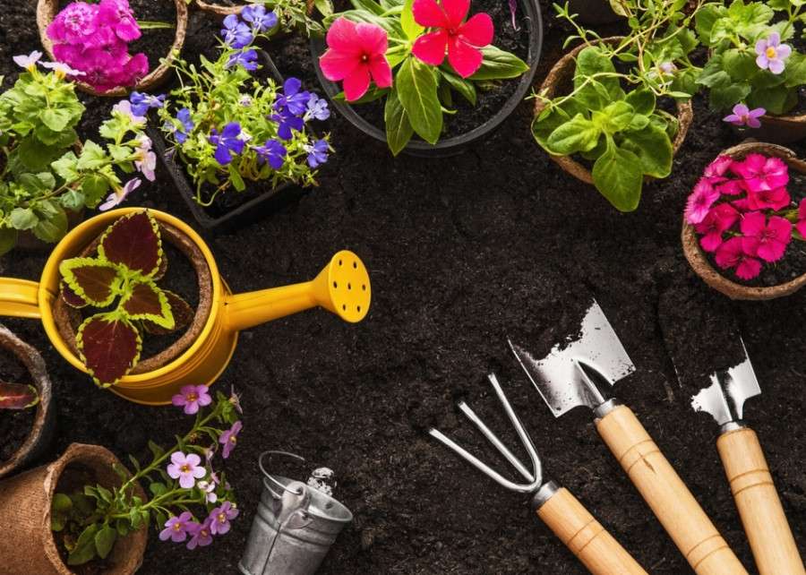 Uprawa kwiatów w ogrodzie puzzle online