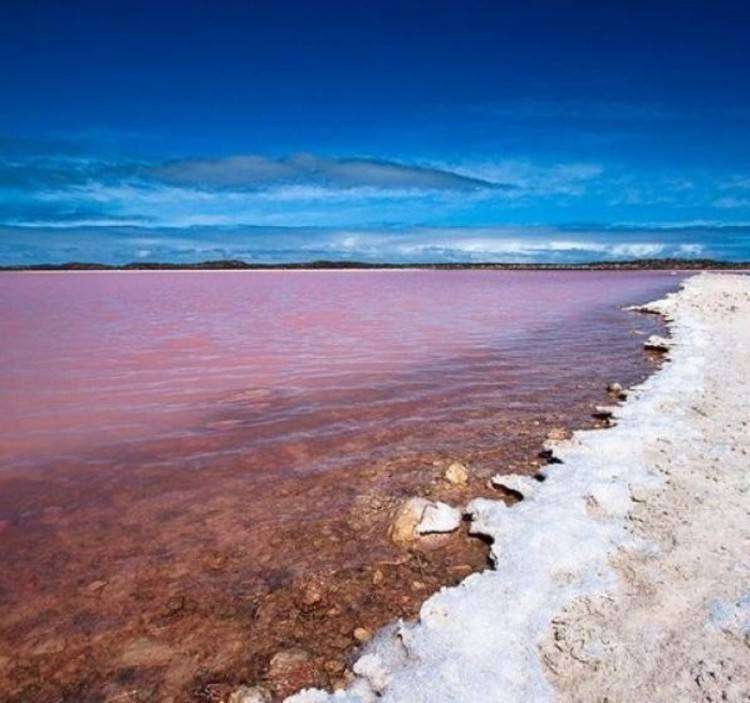 Różowe jezioro w Australii puzzle online