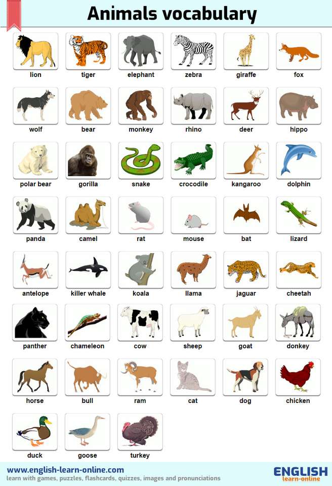 zwierzęta na lekcje angielskiego puzzle online