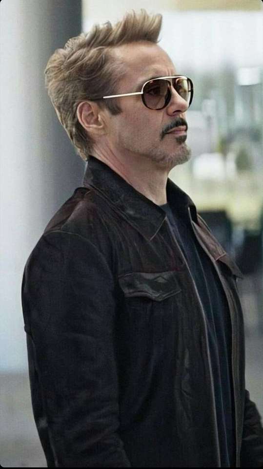 Tony Stark. puzzle online