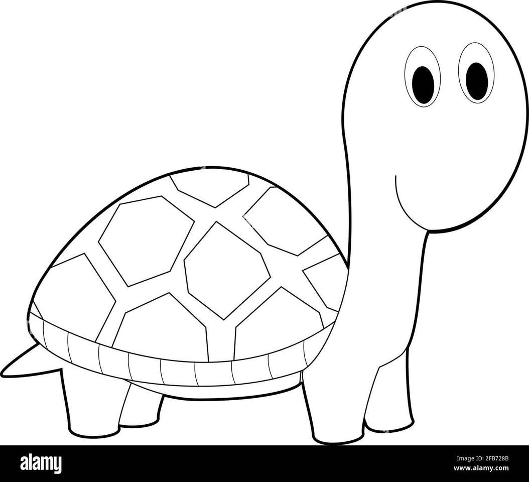 tartaruga bianca puzzle online
