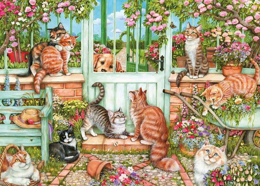 Kocięta chcące wyjść #230 puzzle online
