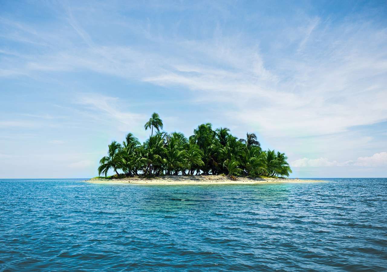 Wyspa Wakacje Karaiby Palmy Piasek Morze Niebieski puzzle online