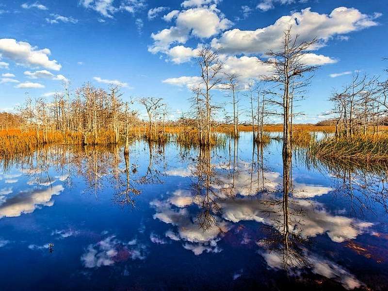 Floryda-Everglades -Białe chmurki puzzle online