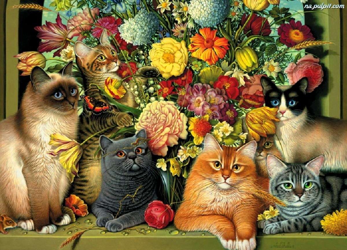 Różne rasy kotów puzzle online