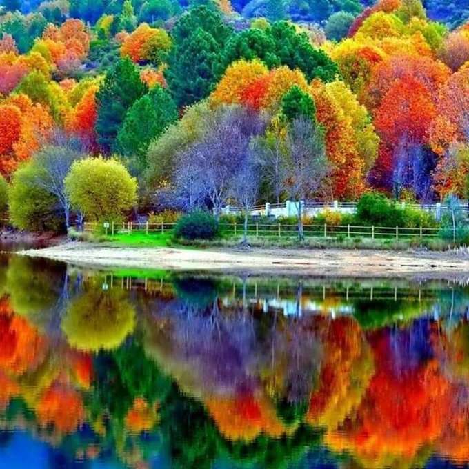 Bajkowo, kolorowo, wiosennie, jesiennie:) puzzle online