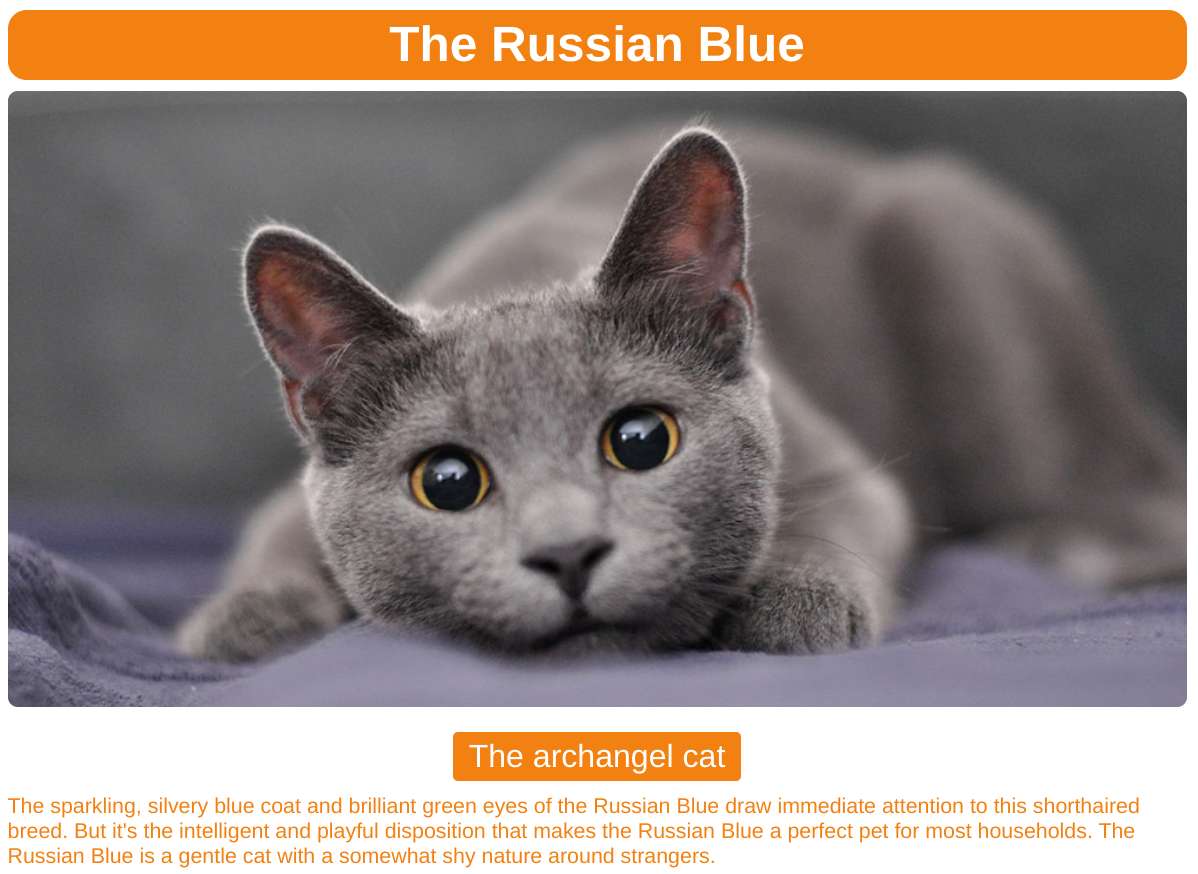 Kot rosyjski niebieski puzzle online