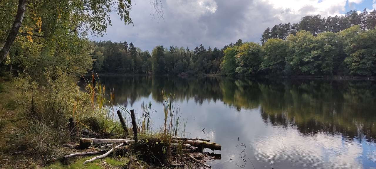 Jezioro w lesie puzzle online