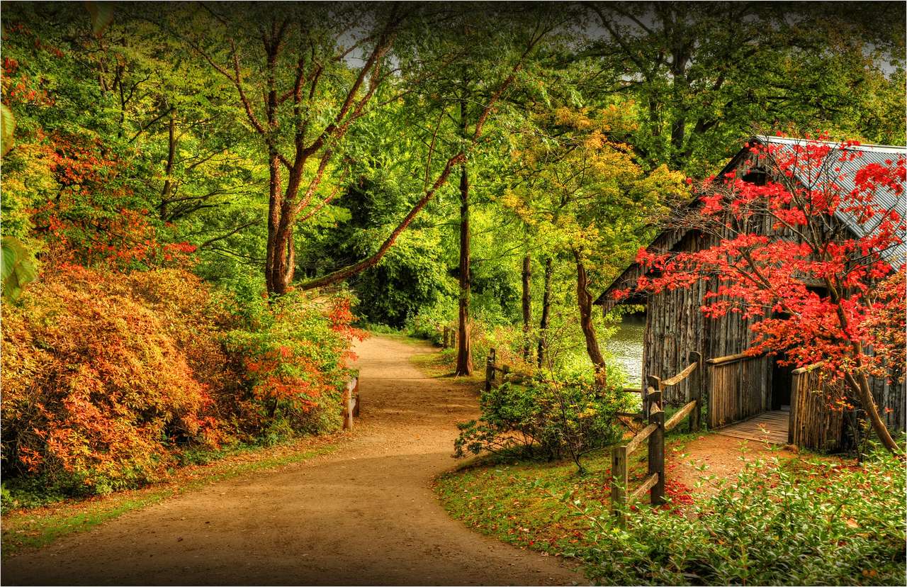 Jesienny czas w londyńskim parku puzzle online