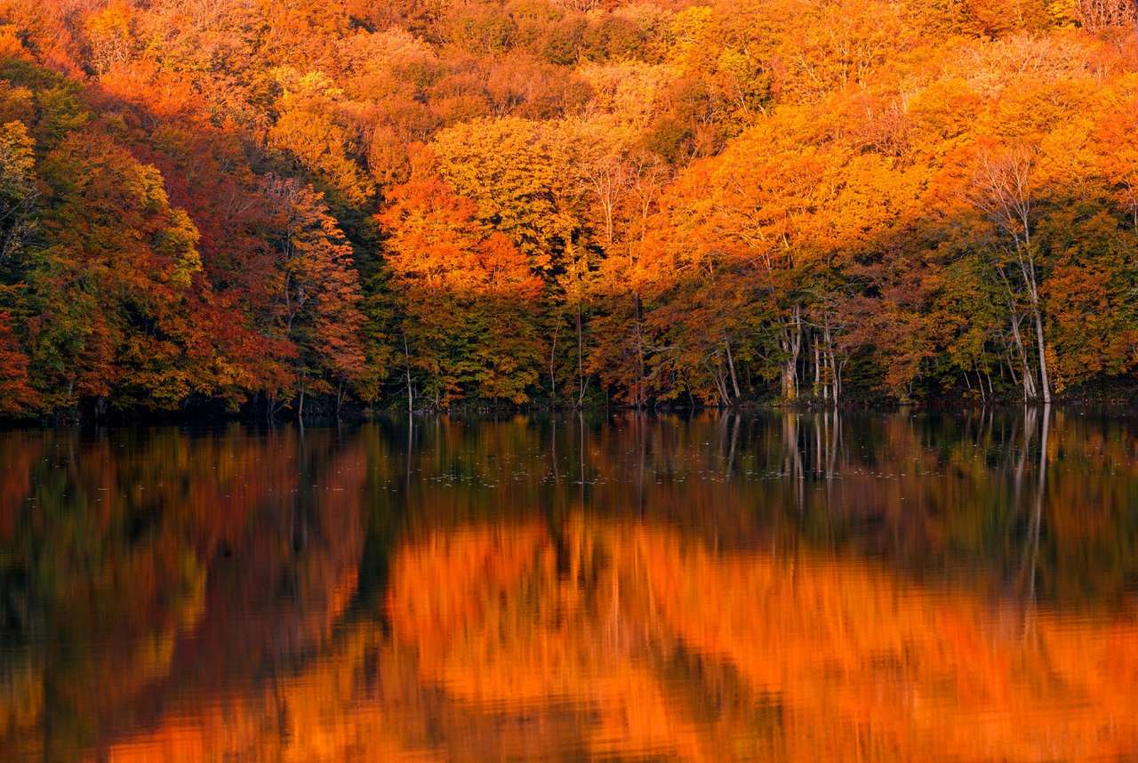 Złota jesień nad jeziorem puzzle online