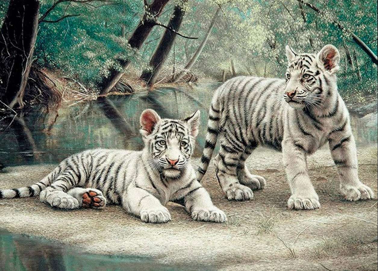 Młode białe tygryski, słodziaki:) puzzle online