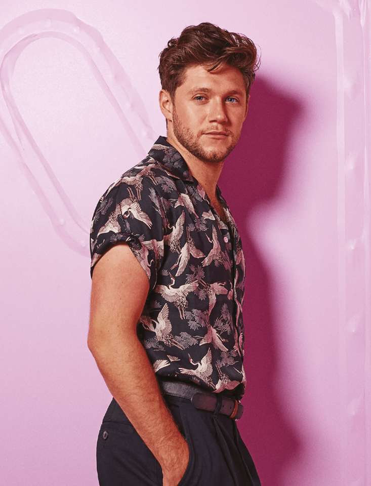Niall Horan puzzle online