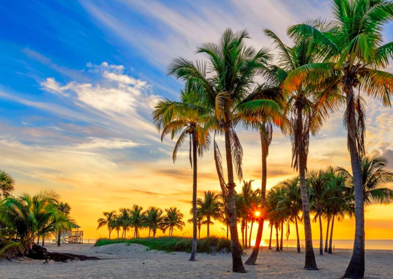 Florida Key-Plaża nad oceanem o wschodzie słońca puzzle online