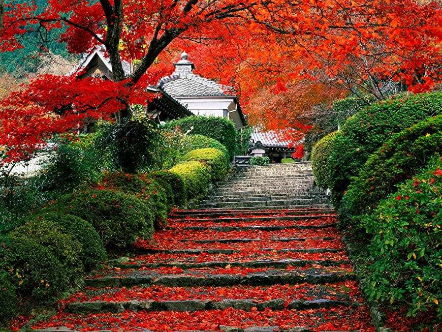 Jesienią w Japonii puzzle online