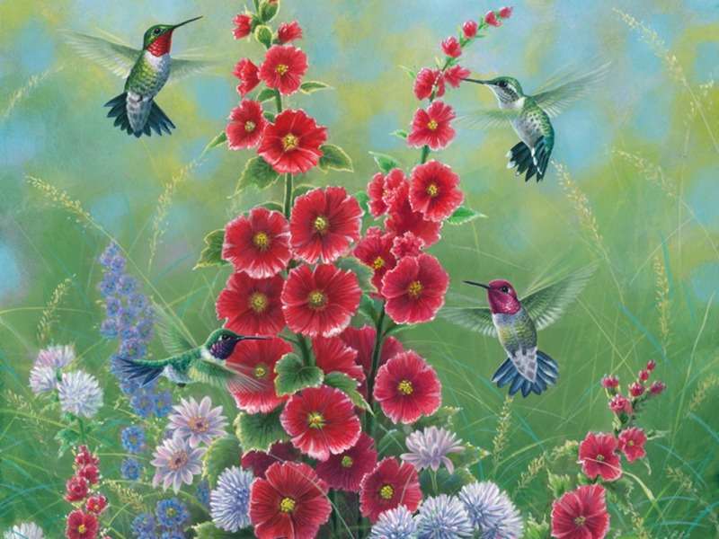 Cuda natury-piękne kwiaty, piękne kolibry puzzle online