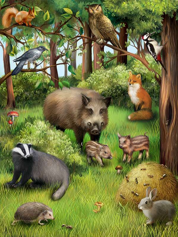 Zwierzęta Laseśne puzzle online