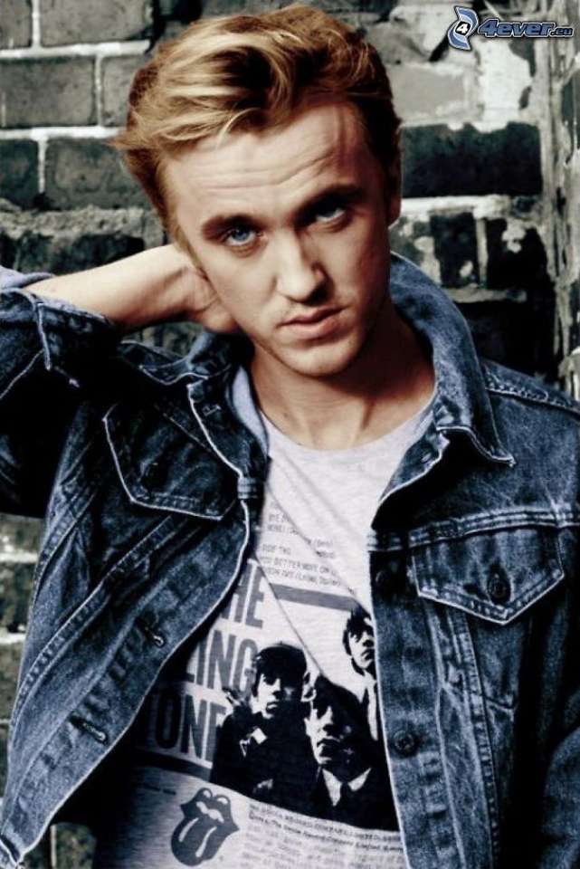 Tom Felton puzzle online