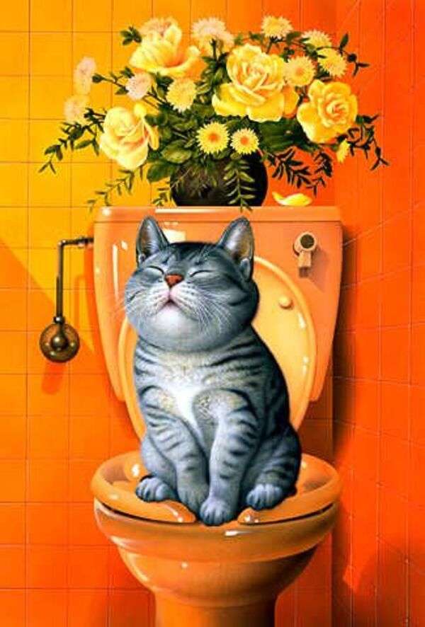 Kotek korzystający z toalety #254 puzzle online