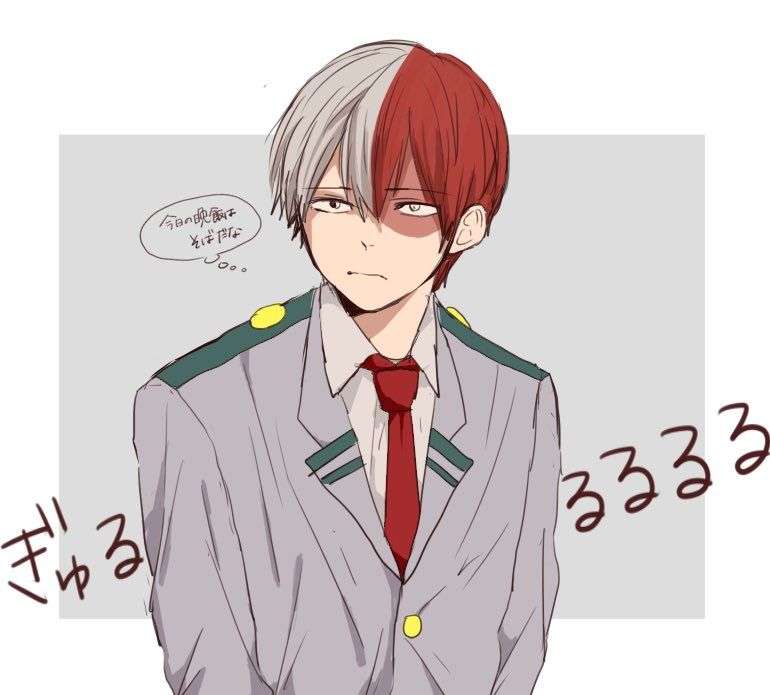 shoto todoroki puzzle online