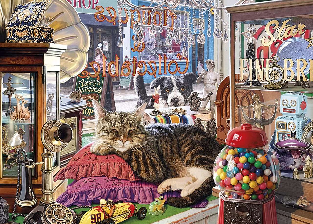 kot w oknie sklepu z antykami puzzle online