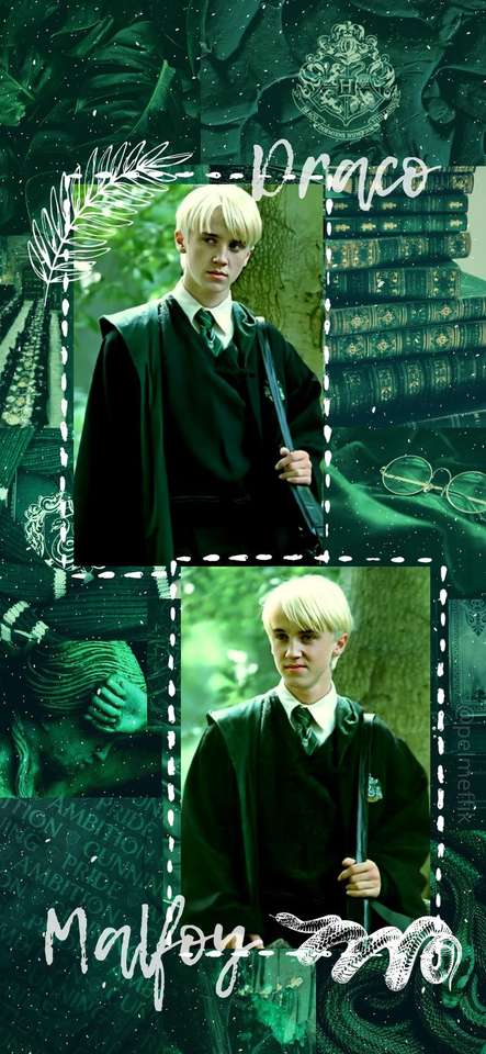 Draco Malfoy puzzle online