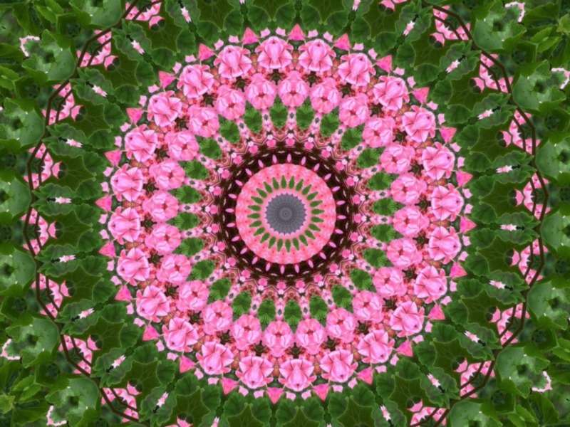 Różowe kwiaty mandali -Pink flowers mandala puzzle online