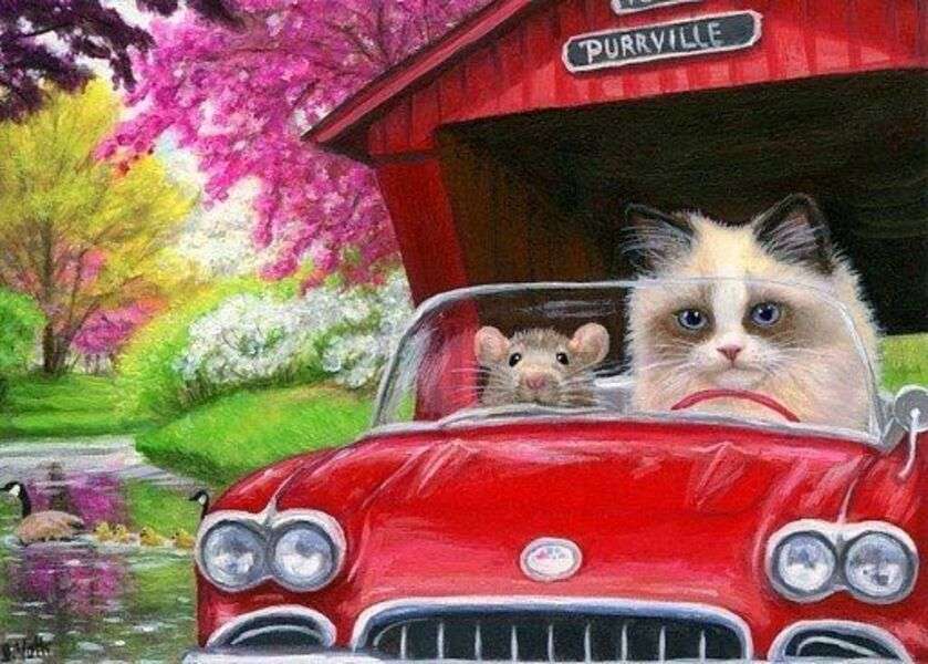 Kotek odjeżdża swoim pojazdem #259 puzzle online