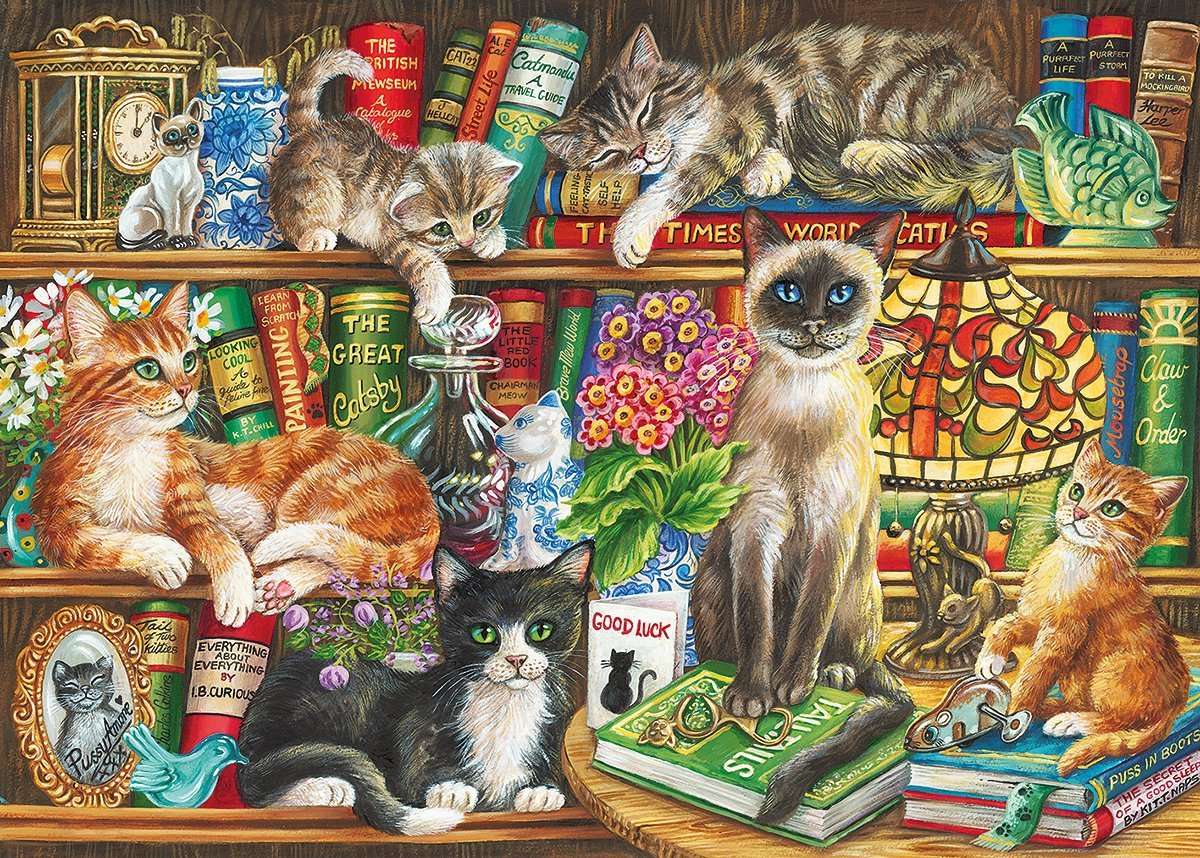 koty w bibliotece puzzle online