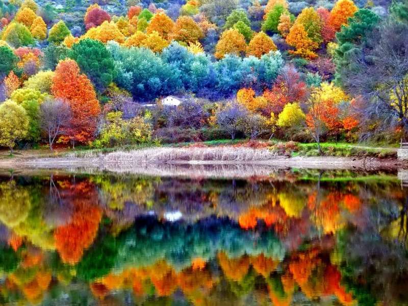 Autumn scenery - Jesienna sceneria, coś pięknego puzzle online
