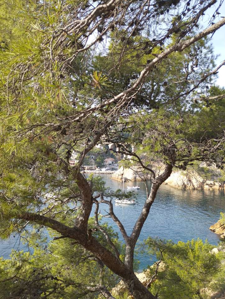 Calanque z Mejan puzzle online