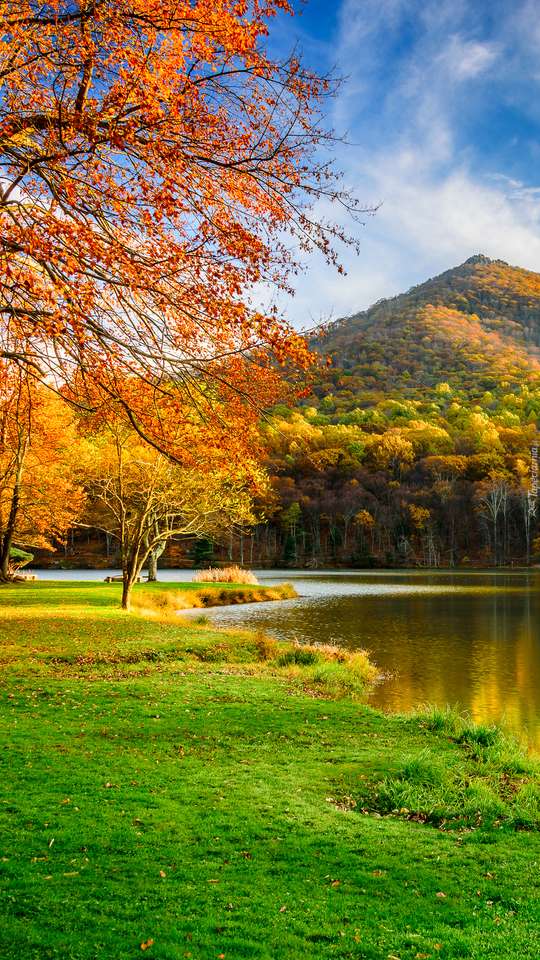 Krajobraz rzeki jesienią puzzle online
