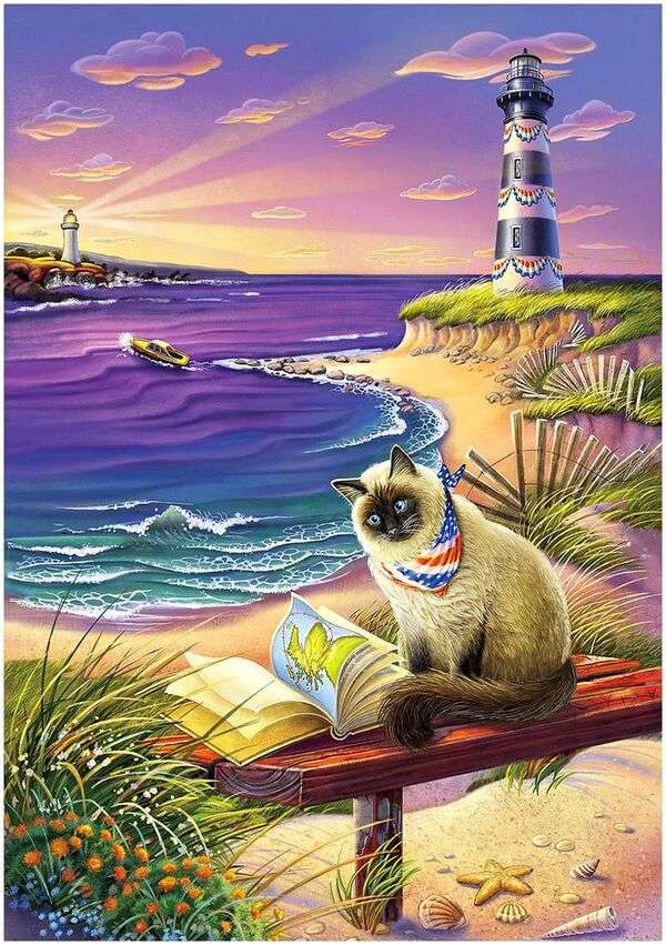 Kociak czytający na plaży #266 puzzle online