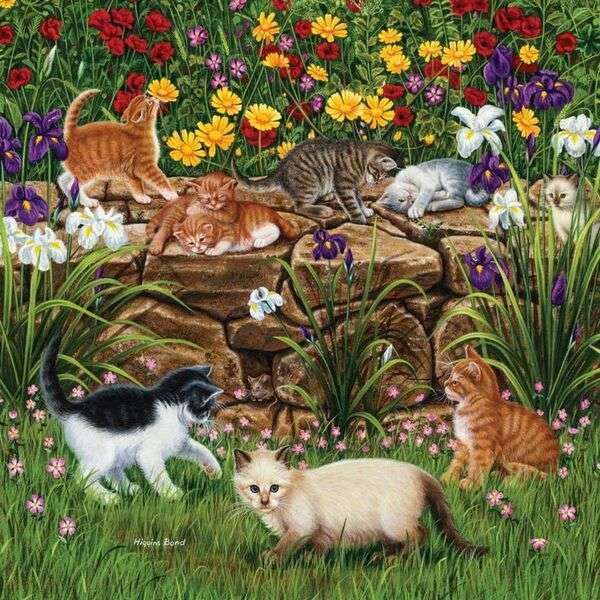 Kocięta bawią się w ogrodzie #267 puzzle online
