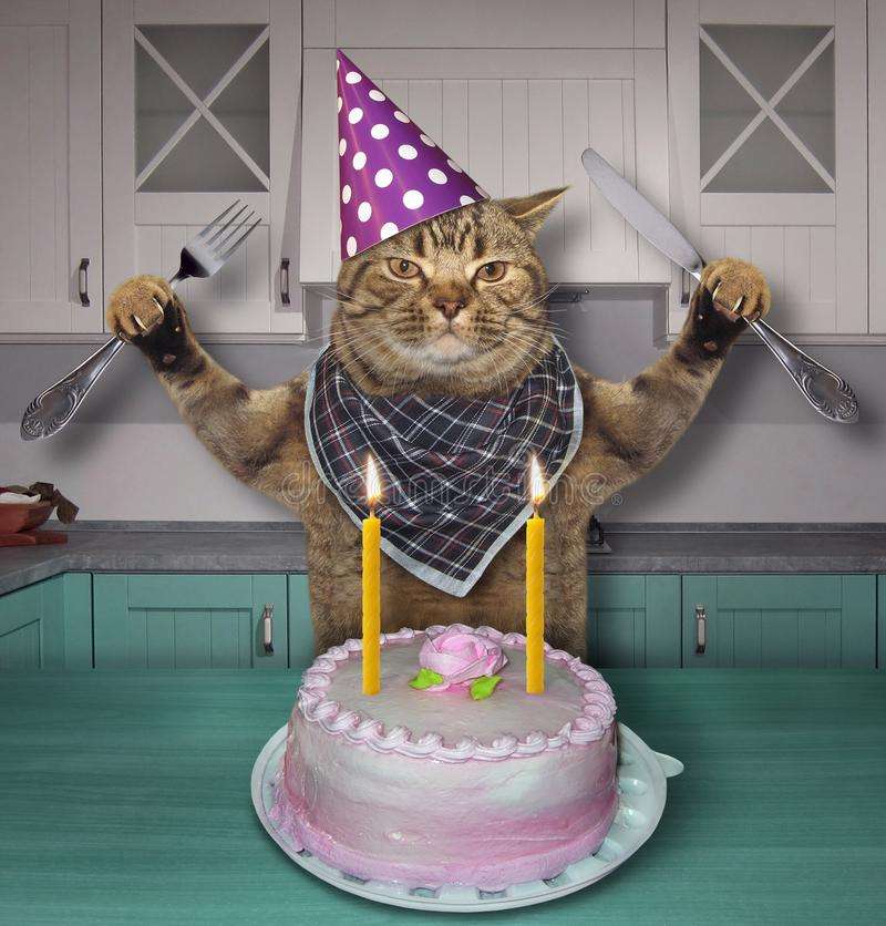 Urodziny kotka i tort puzzle online