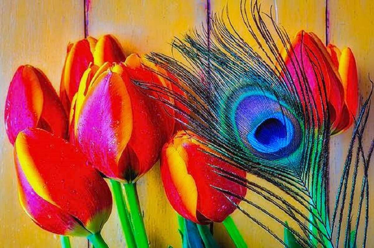 Wiosenne tulipany i pawie piórko, cudo natury puzzle online