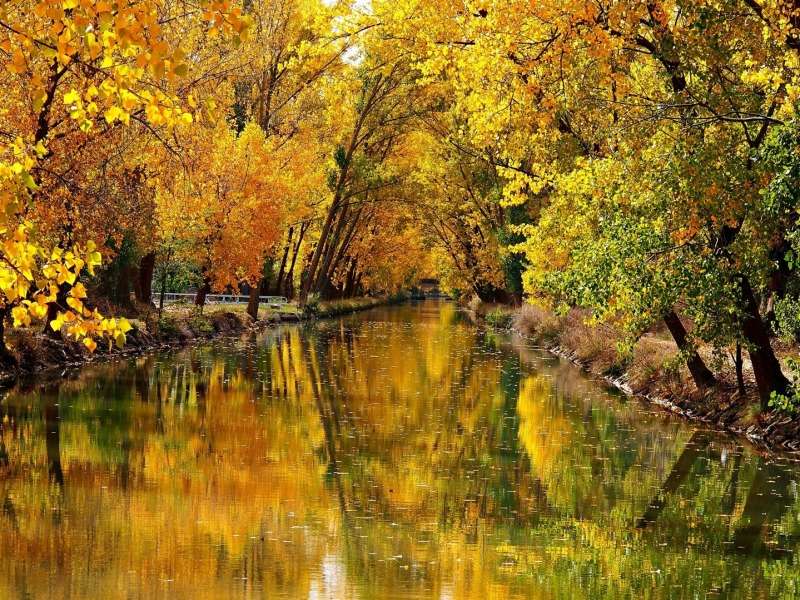Prze-piękny jesienny krajobraz nad rzeką puzzle online