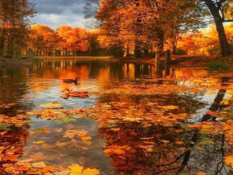 Autumn River-Jesienna rzeka, widok zachwyca:) puzzle online