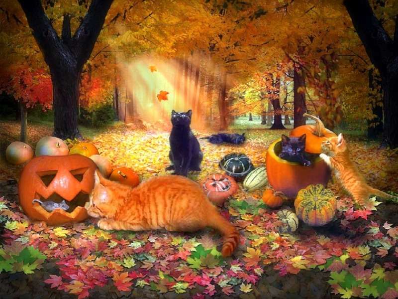 Kocie igraszki w jesiennym lesie, uroczy widok:) puzzle online